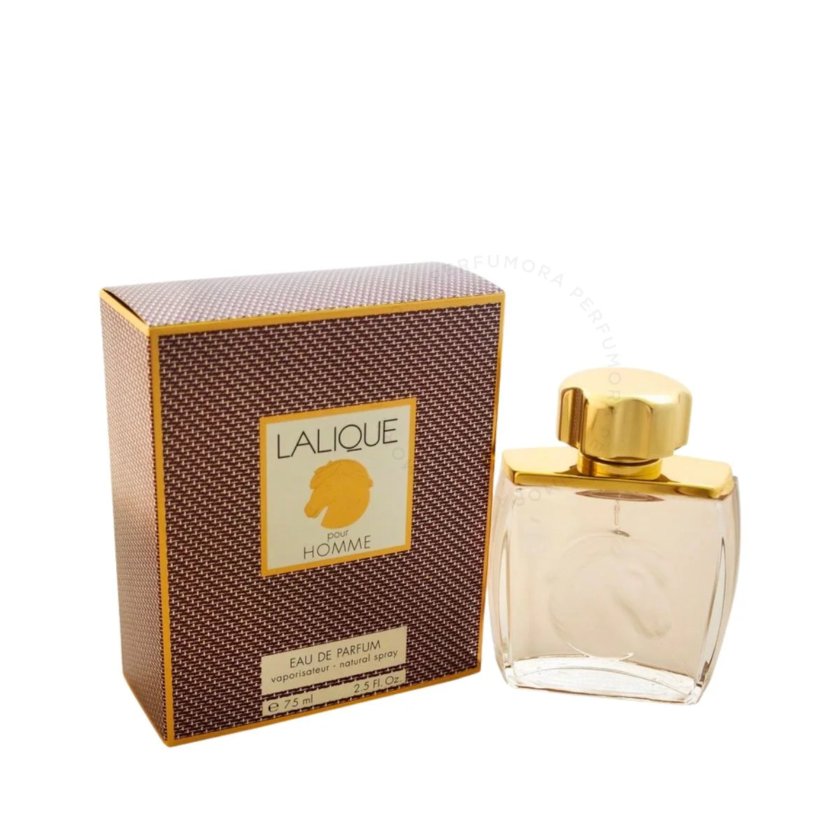 LALIQUE Lalique Horse Pour Homme EDP Spray for Men