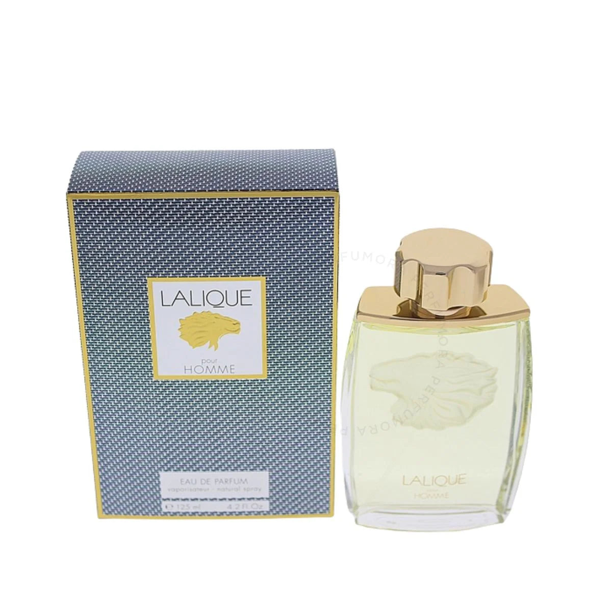 LALIQUE Pour Homme EDP Spray for Men