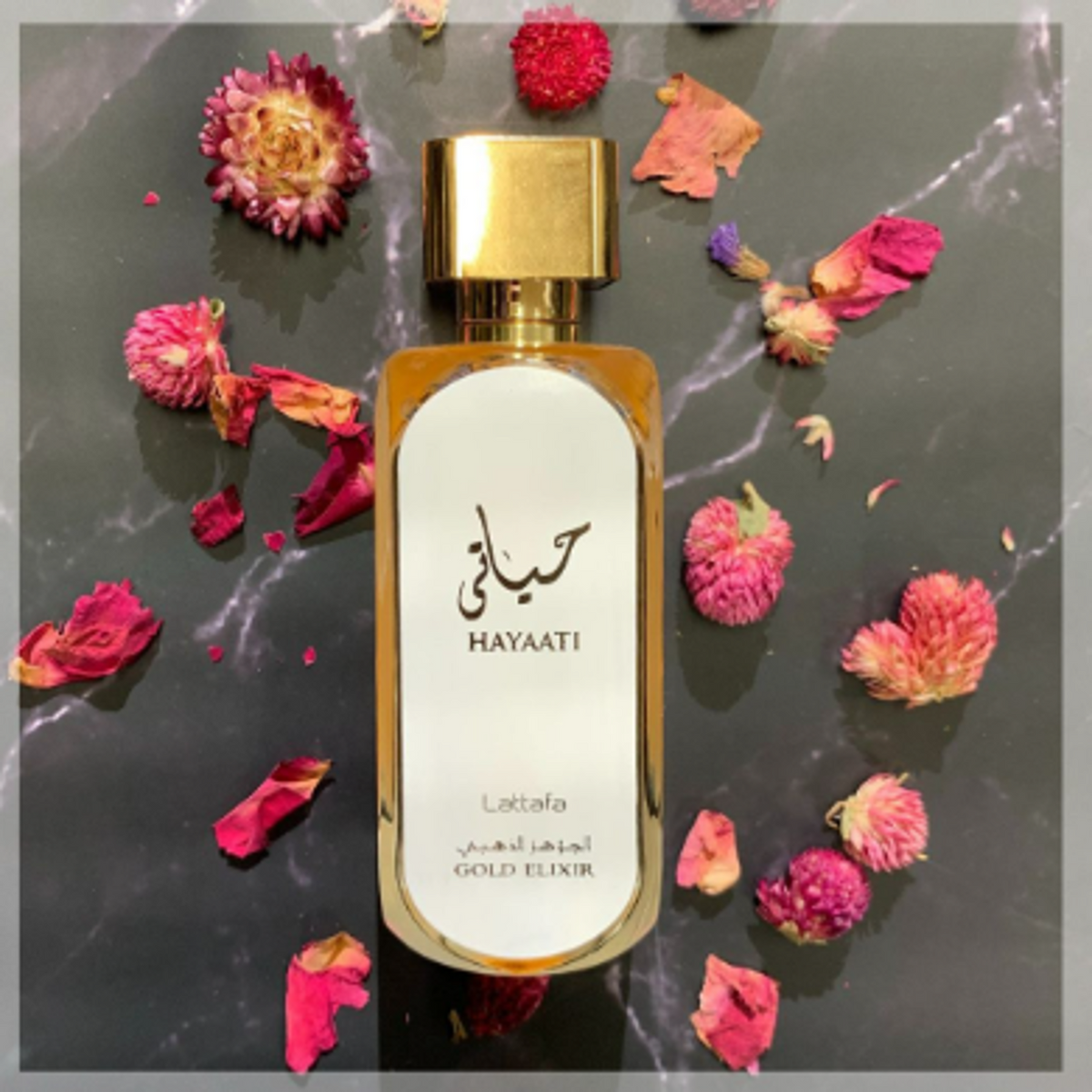 42c9f52f41c552d99d38e9b477d4bfc4