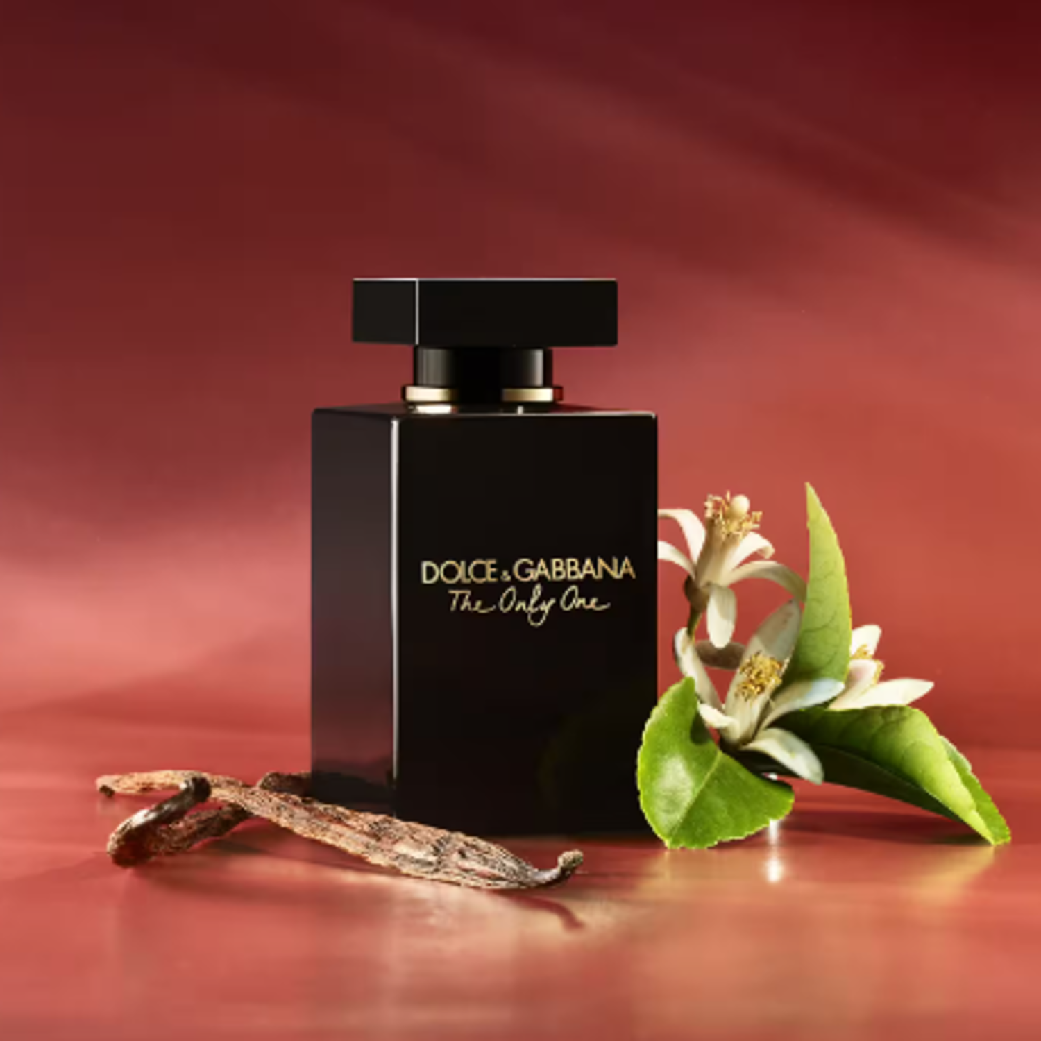 f8703d2e83ff3f112c2b0b5bc2f5f6a4