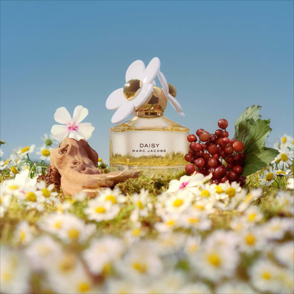 Marc Jacobs Daisy EDT Spray For Women