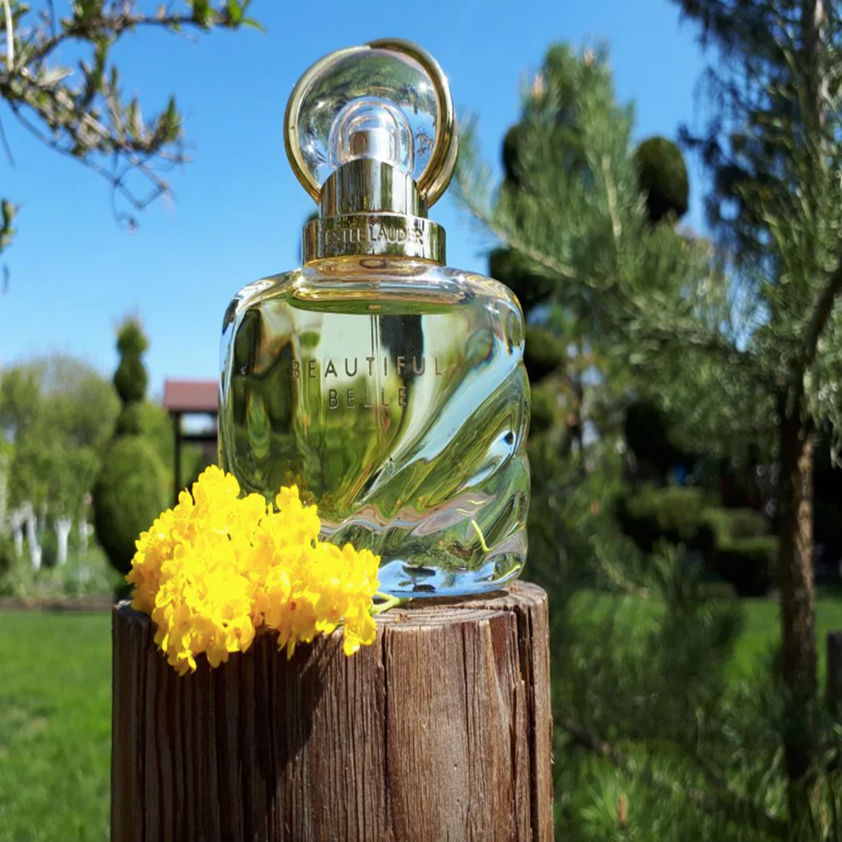 907daf5b2c6ac0151af6ae08d538f3de