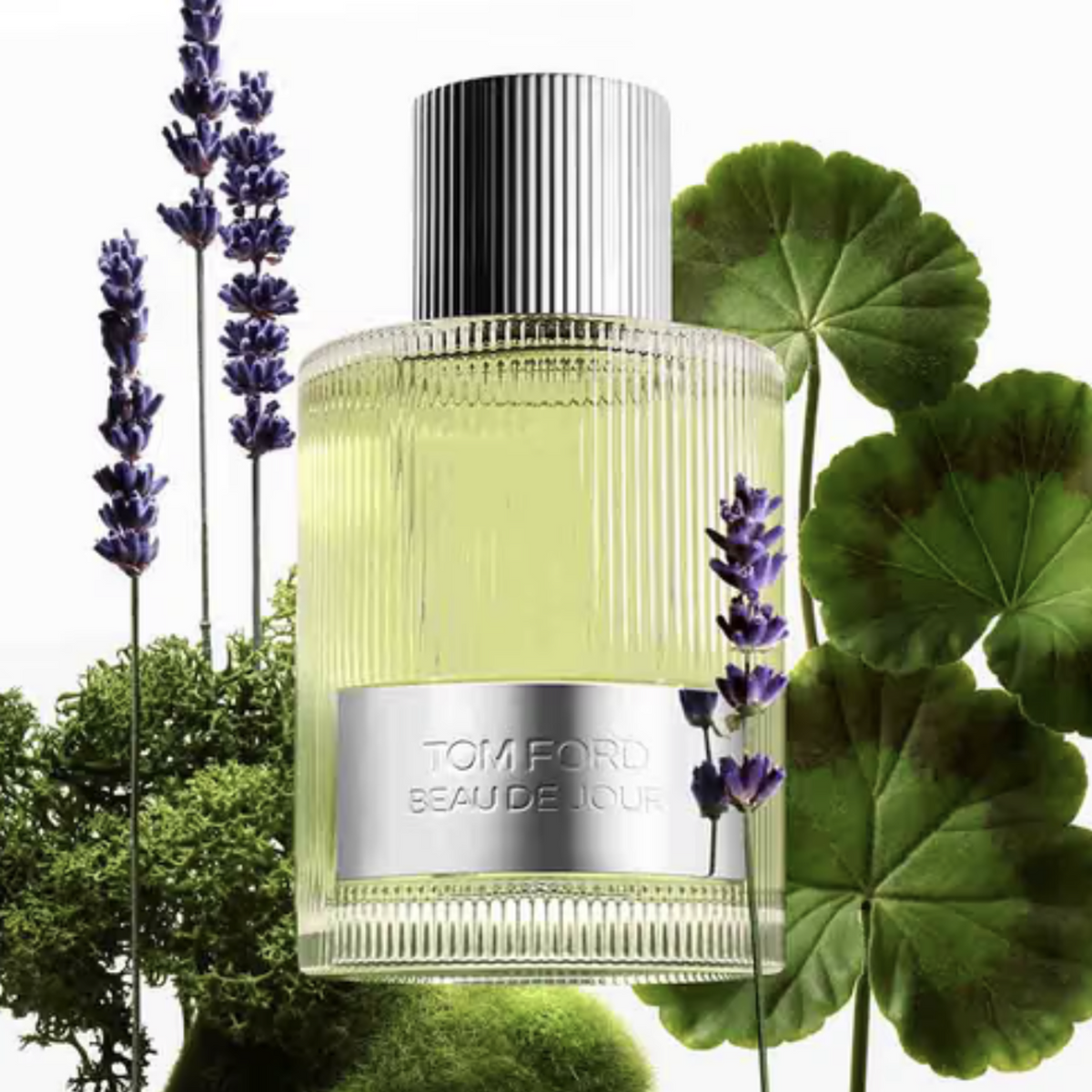 11196893007f5b72aedb5a026d28a622