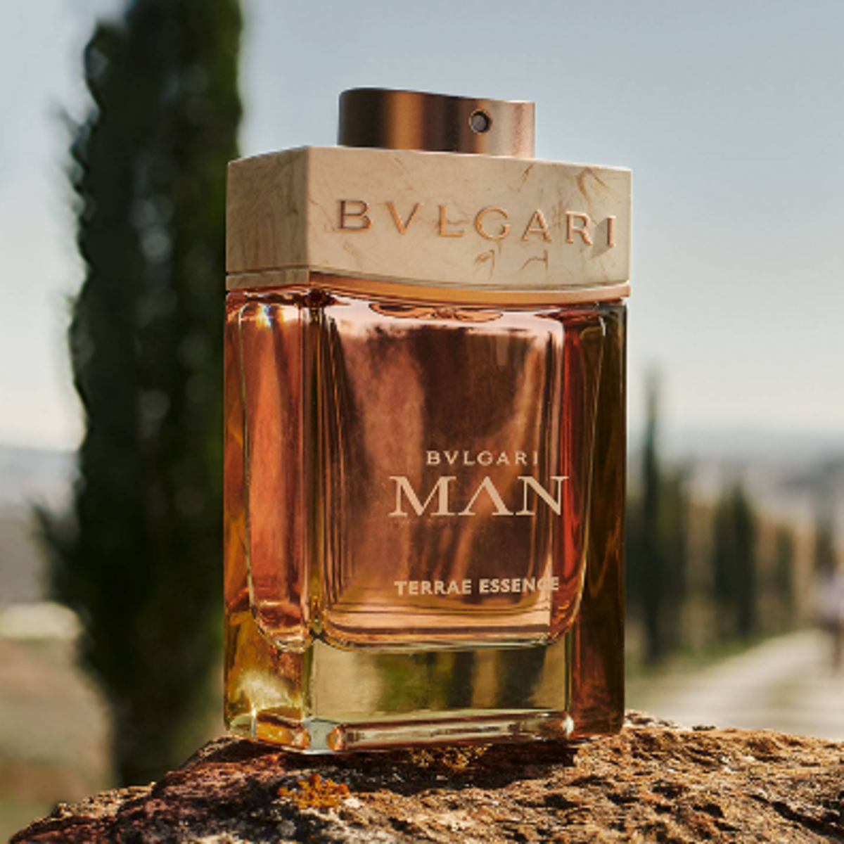 da187c1d8c52b063143b749be0f0246c