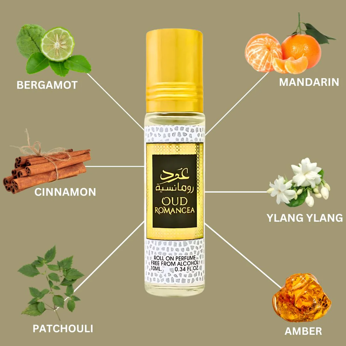 6ced41121c2441abd22d847510b879e1