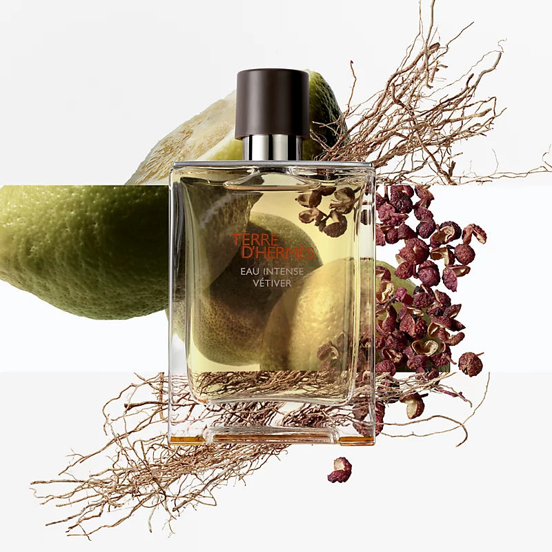 Hermes Terre DHermes EDT Spray for Men - Perfumora