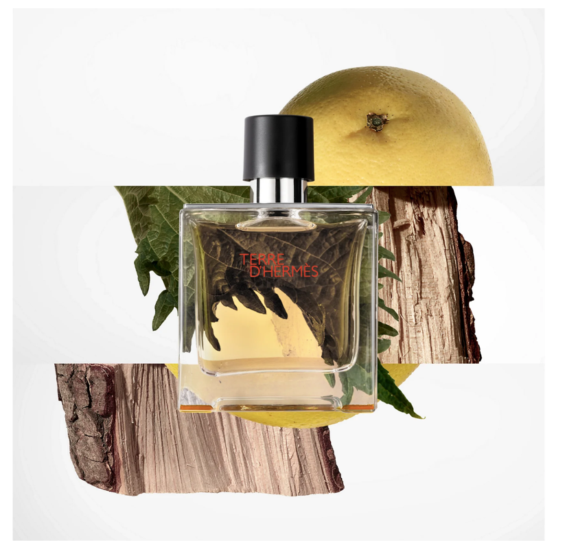 Hermes Terre D'Hermes EDT Spray for Men - Perfumora