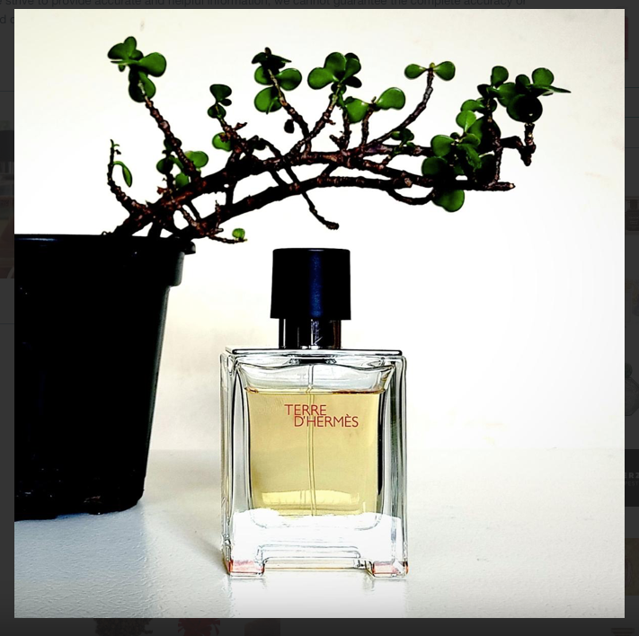 Hermes Terre D'Hermes EDT Spray for Men - Perfumora