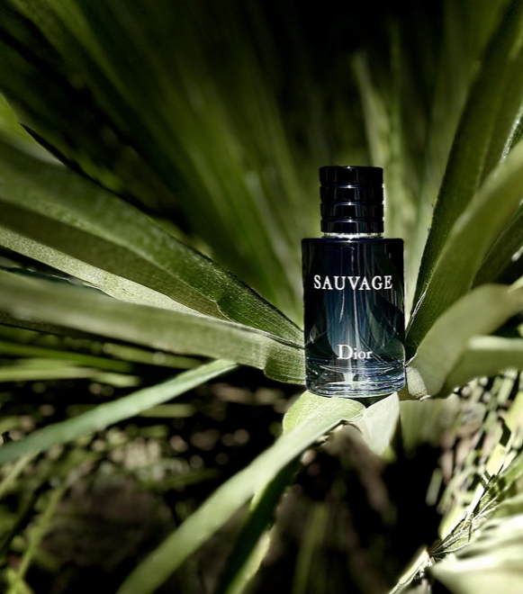 Christian Dior Sauvage For EDT Spray Men - Perfumora