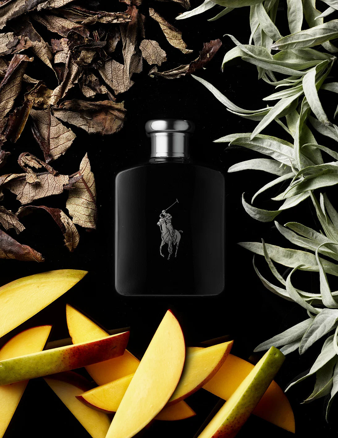 Ralph Lauren Polo Black EDT Spray for Men - Perfumora