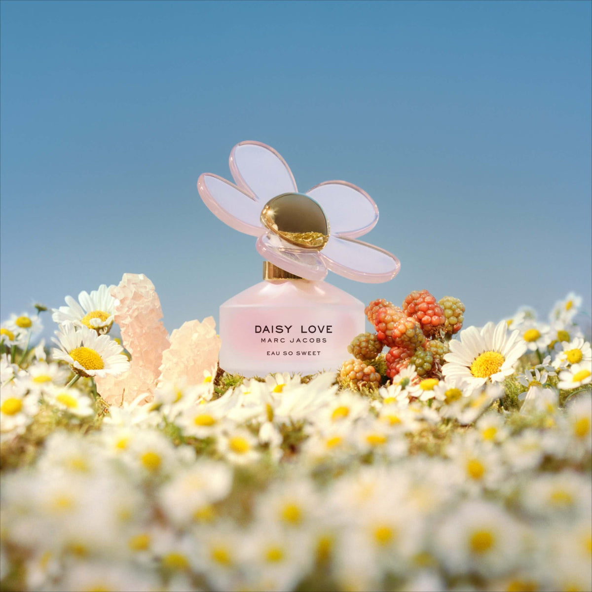 Marc Jacobs Daisy Love Eau So Sweet EDT Spray for Women - Perfumora