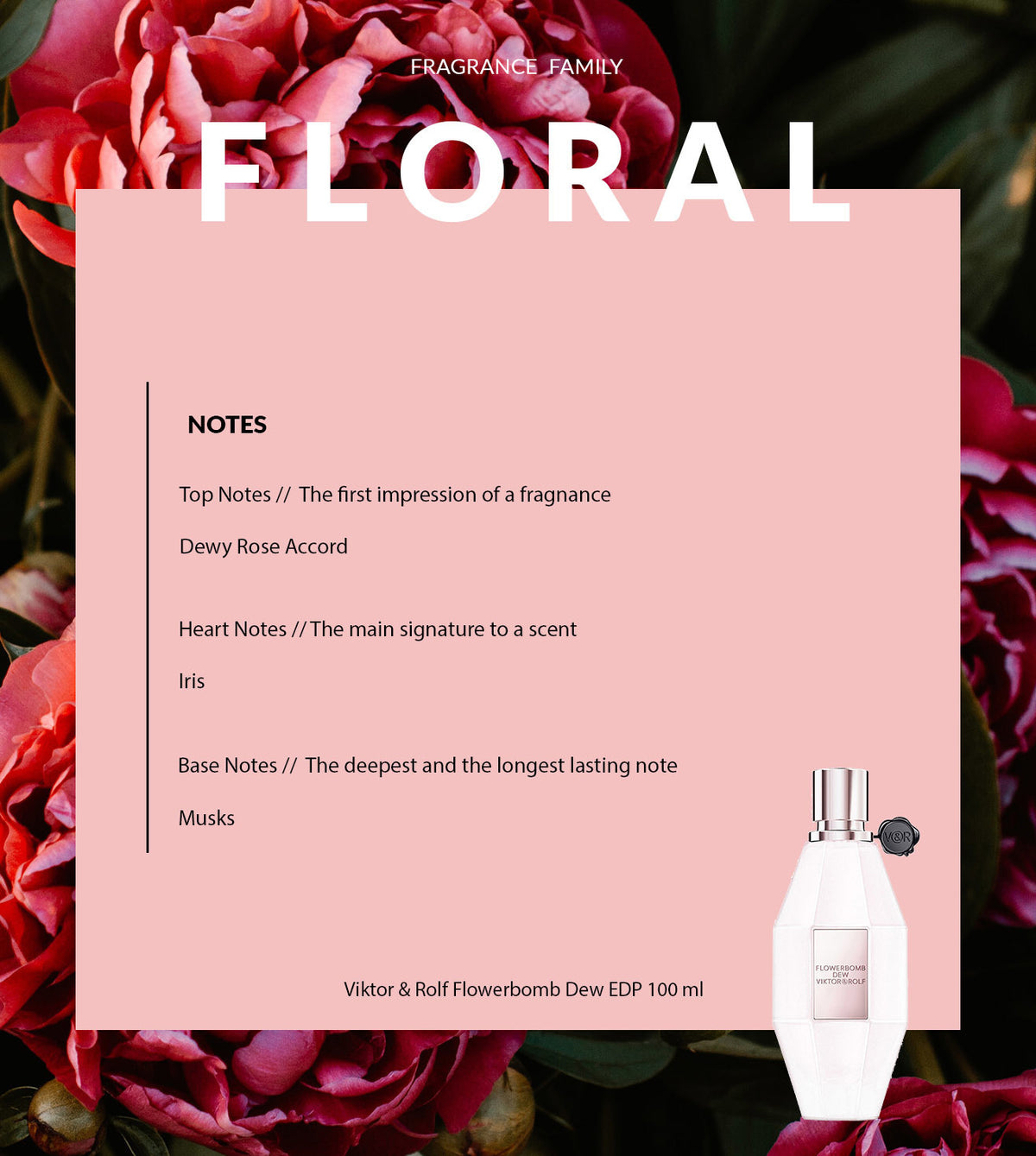 Viktor & Rolf Flowerbomb Dew EDP Spray for Women - Perfumora