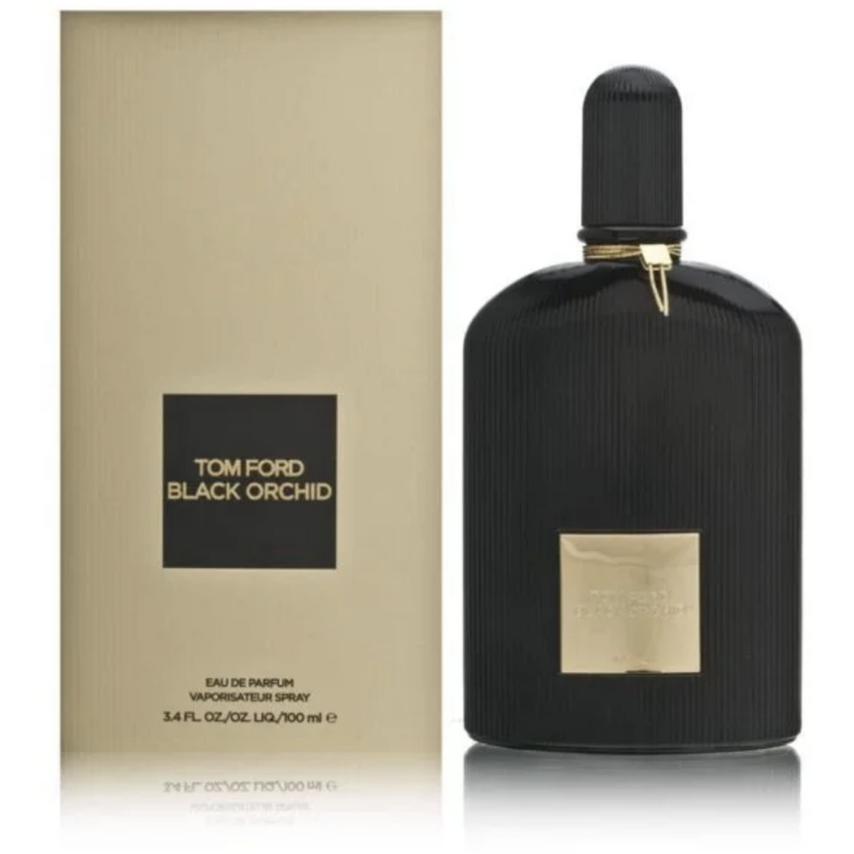 f6a81b44ba5ab89a0ea1a1dfa0892540