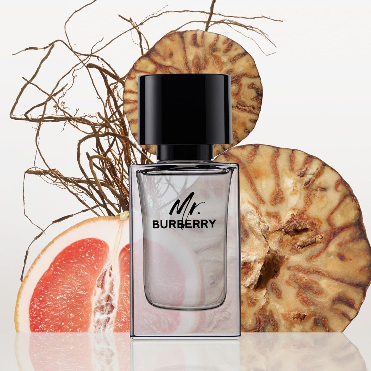 Burberry Mr. Burberry EDT Spray For Men - Perfumora