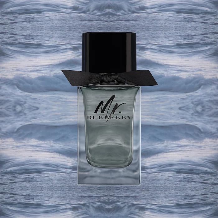 Burberry Mr. Burberry EDT Spray For Men - Perfumora