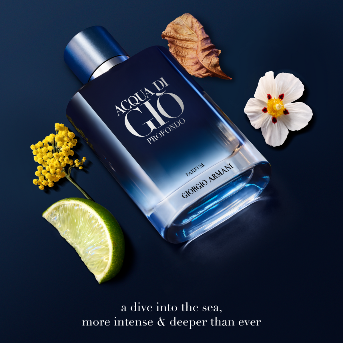 Giorgio Armani Acqua Di Gio Profondo EDP Spray for Men