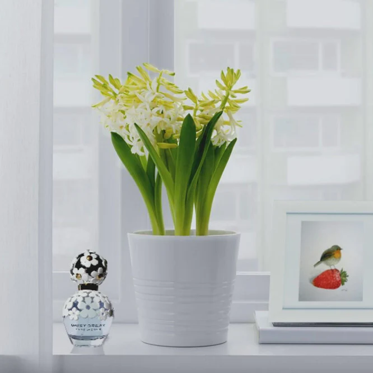 Marc Jacobs Daisy Dream EDT Spray For Women