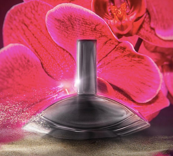 Calvin Klein Euphoria EDP Spray For Women - Perfumora