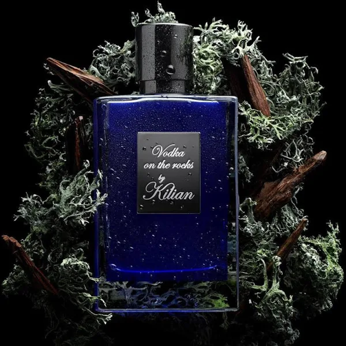 7a82404ab7df619bfafdf98ed32be7e7