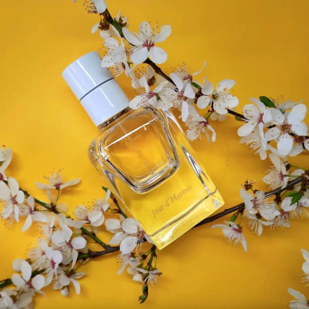 32f759bd635a6a0ac956da199cf0ab95