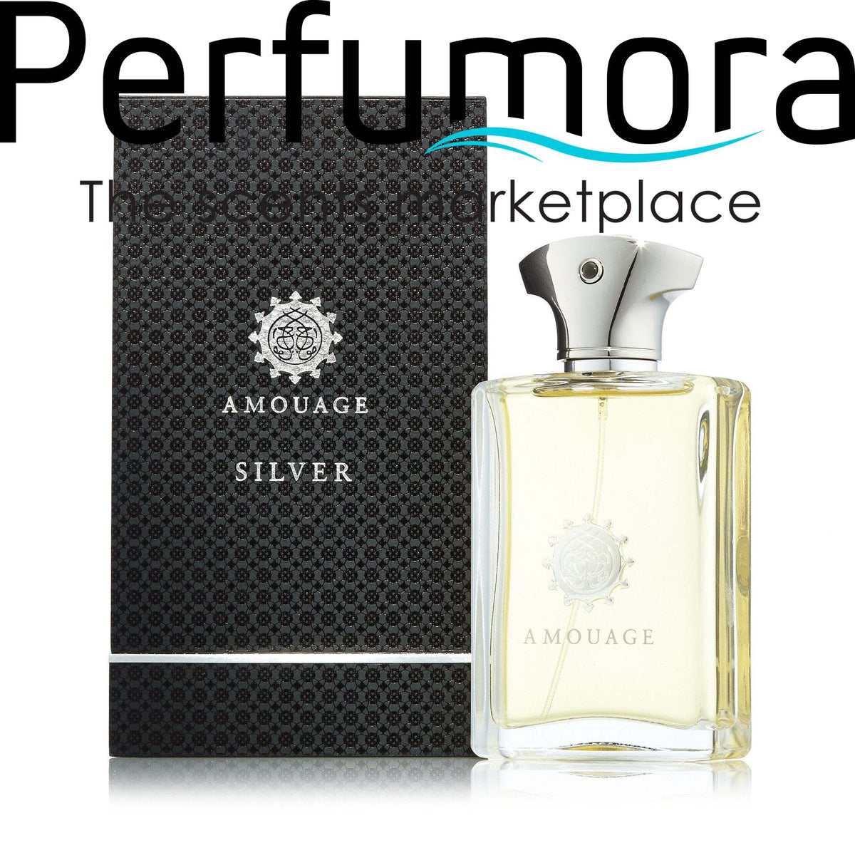 Silver Eau de Parfum Spray for Men by Amouage 3.4 oz.