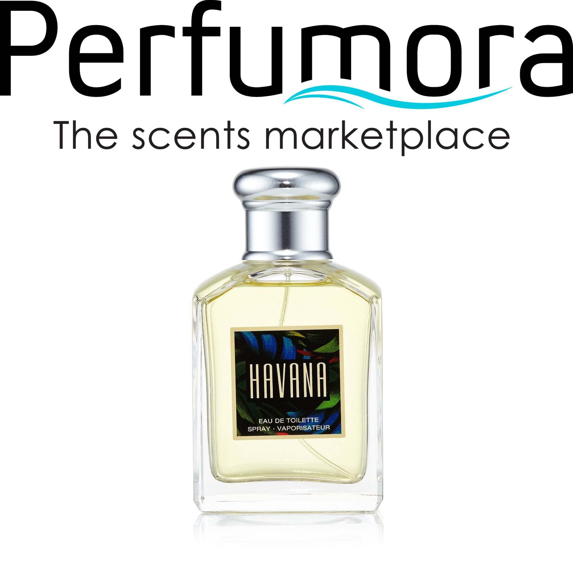 Havana Eau de Toilette Spray for Men by Aramis 3.4 oz.
