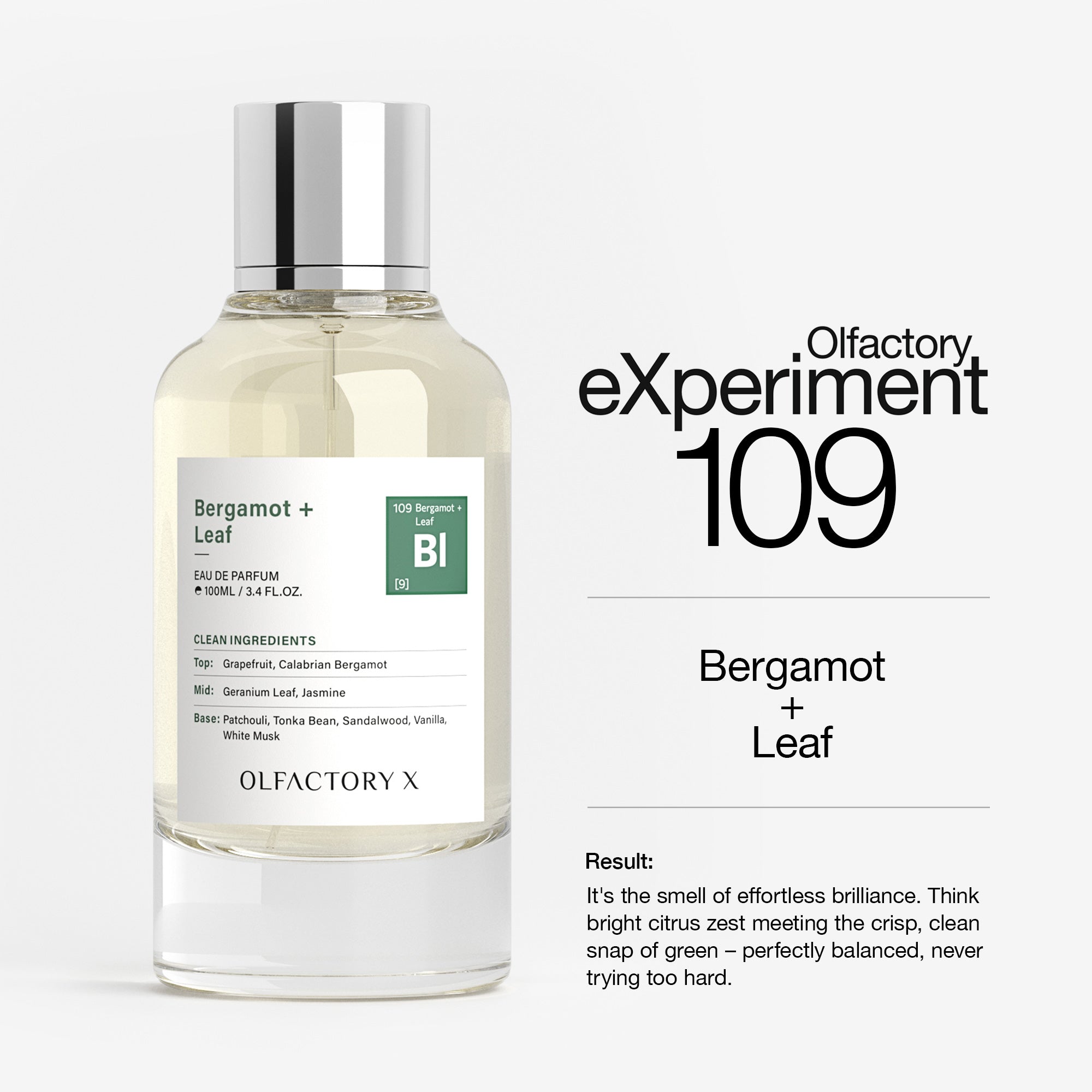 Bergamot + Leaf