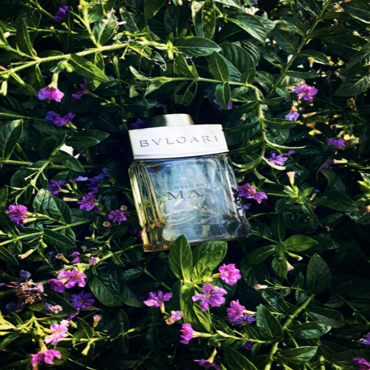 BVLGARI Man Wood Neroli EDP Spray For Men