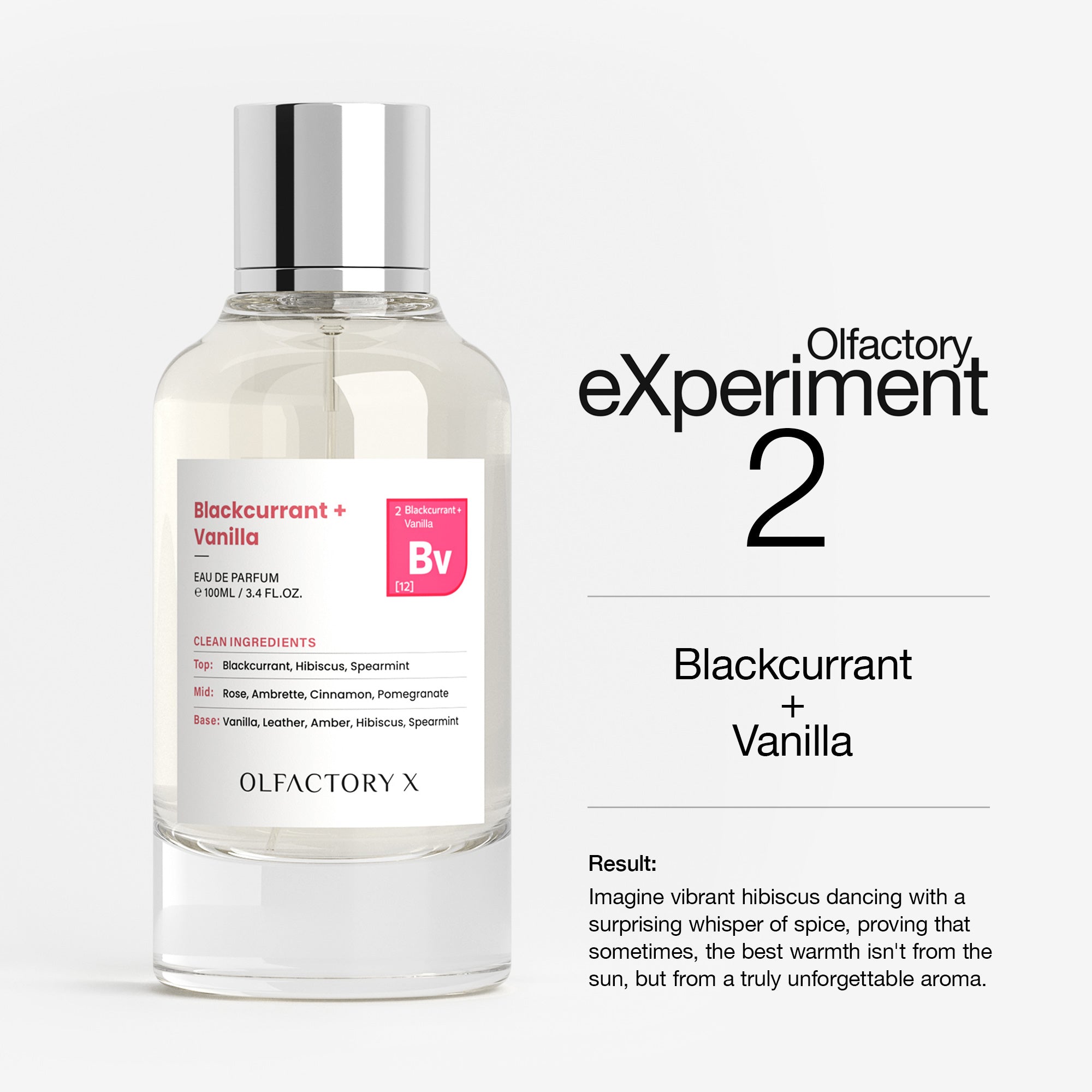 Blackcurrant + Vanilla