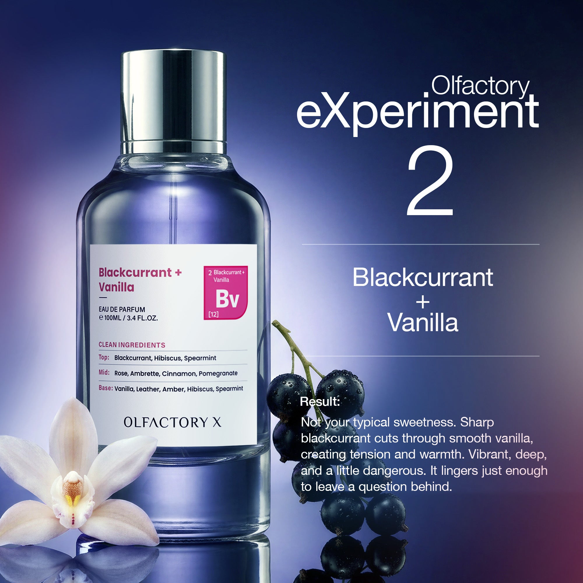 Blackcurrant + Vanilla