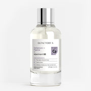 Cardamom + Papyrus 100 ml (3.4 oz)