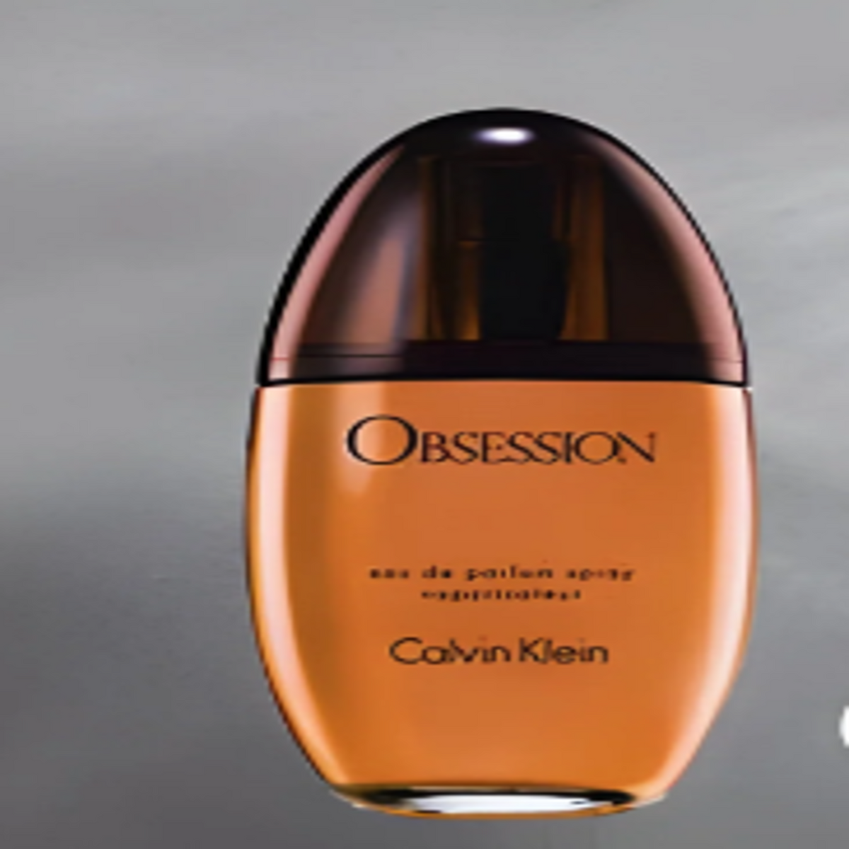 Calvin Klein Obsession EDP Spray For Women