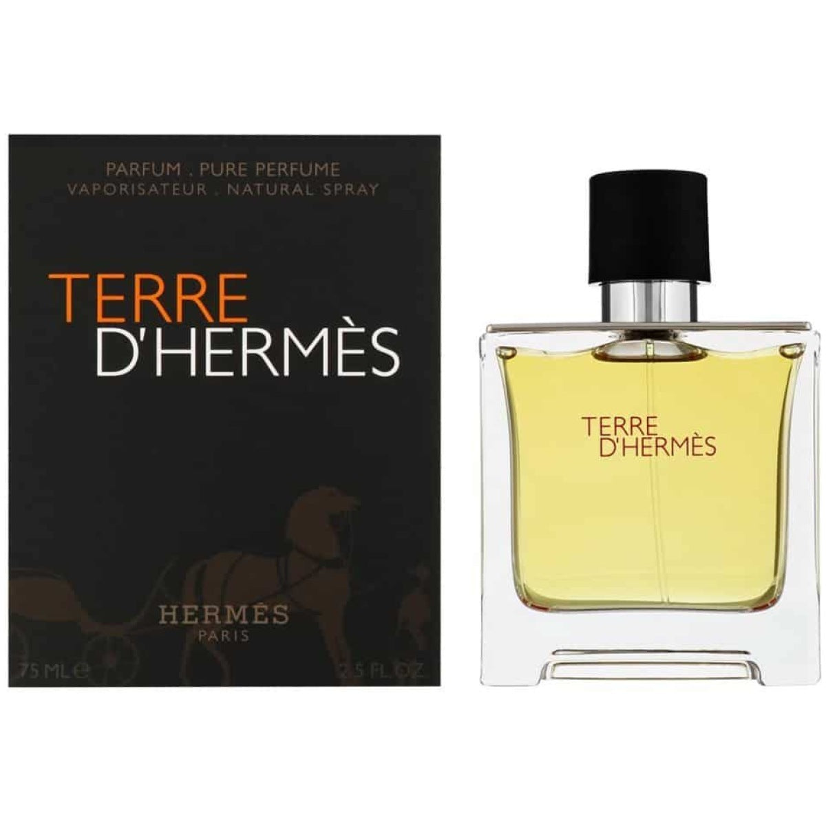 Hermes Terre D' Pure Perfume 2.5 oz EDP Spray for Men - Perfumora