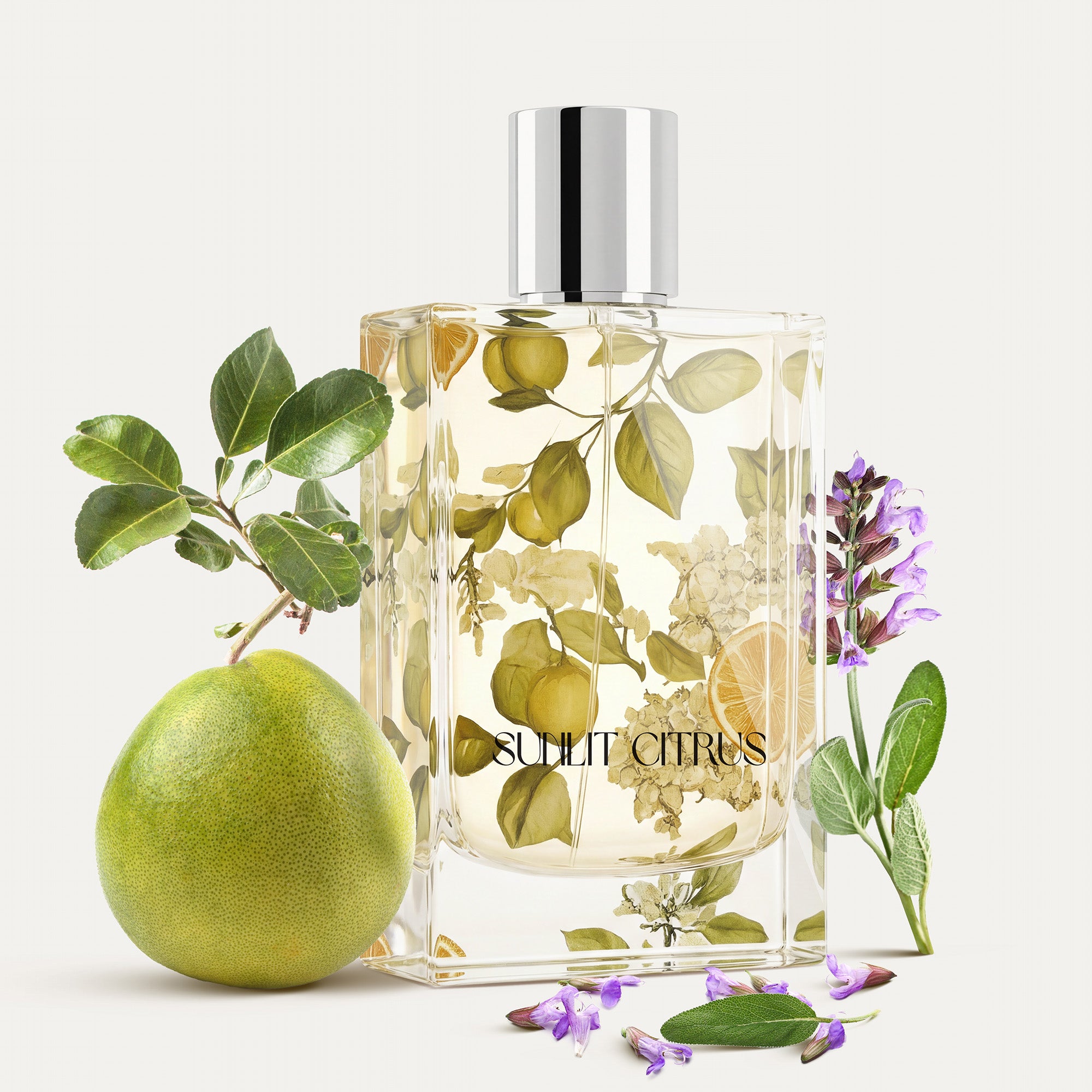 Sunlit Citrus