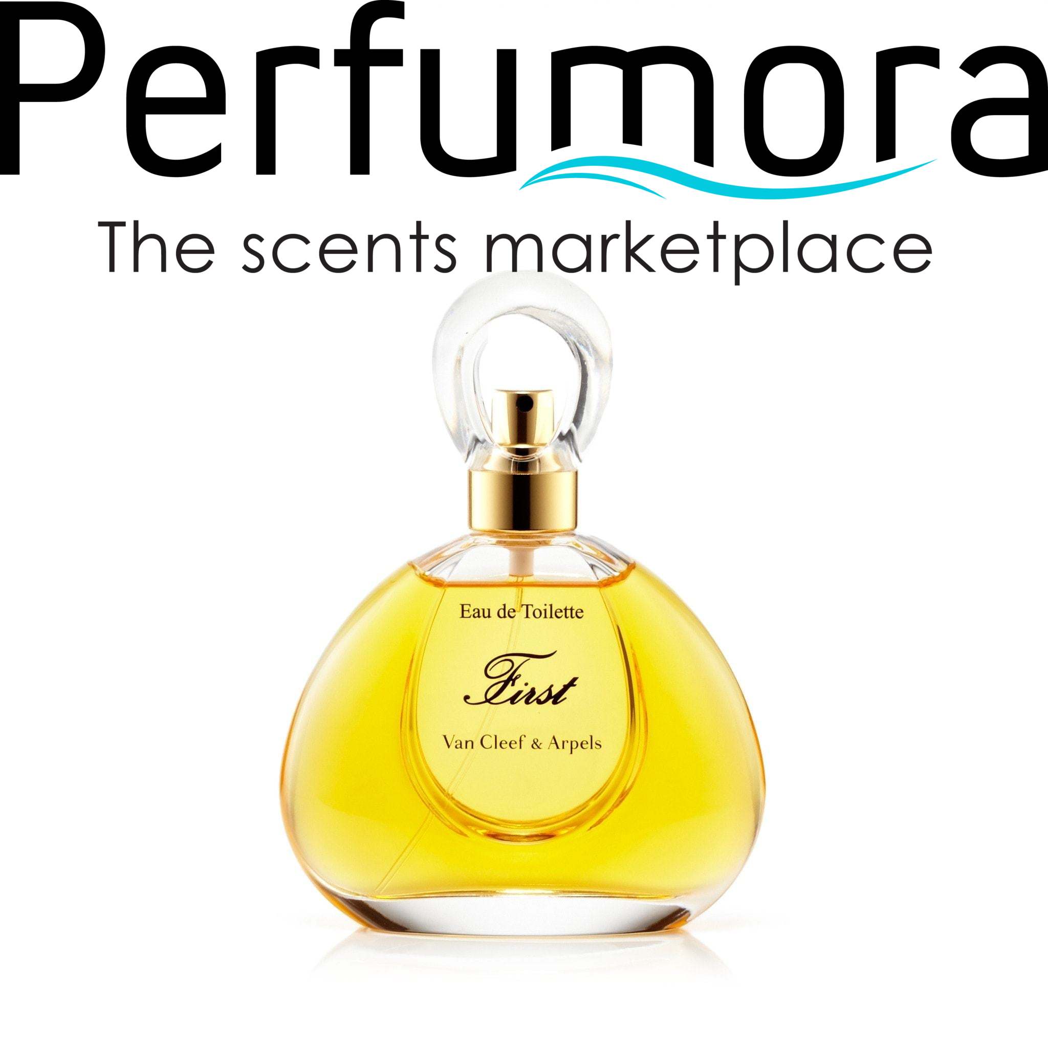 Van Cleef & Arpels First Eau de Toilette Womens Spray 3.4 oz. 