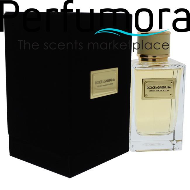 VELVET MIMOSA BLOOM BY DOLCE AND GABBANA FOR WOMEN -  Eau De Parfum SPRAY