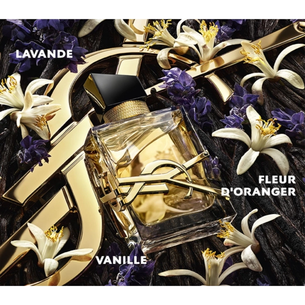 b55d1eafea66595a1a91c7273ac9cd11