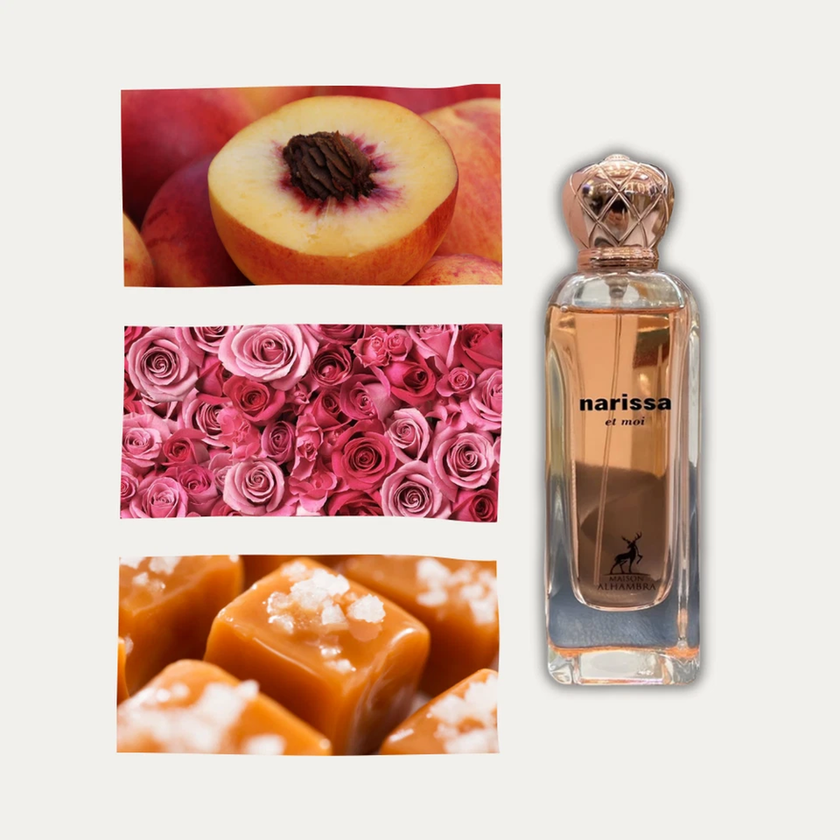 1fd7619bd72026a2d0b5b73e2fc54be3