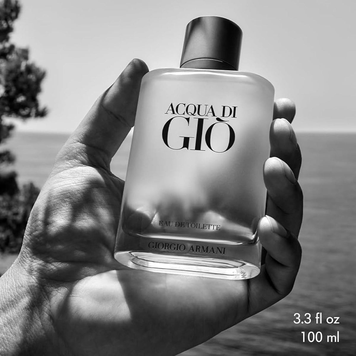 Giorgio Armani Acqua Di Gio EDT Spray For Men