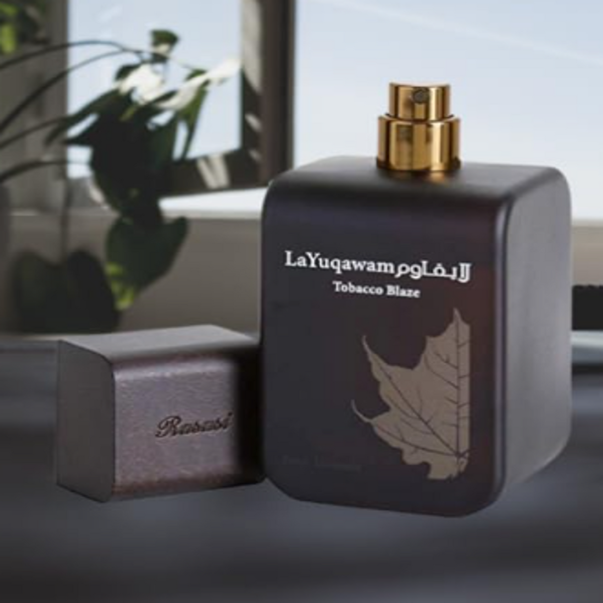 4a505637a4fcfe56feed41bc36040975